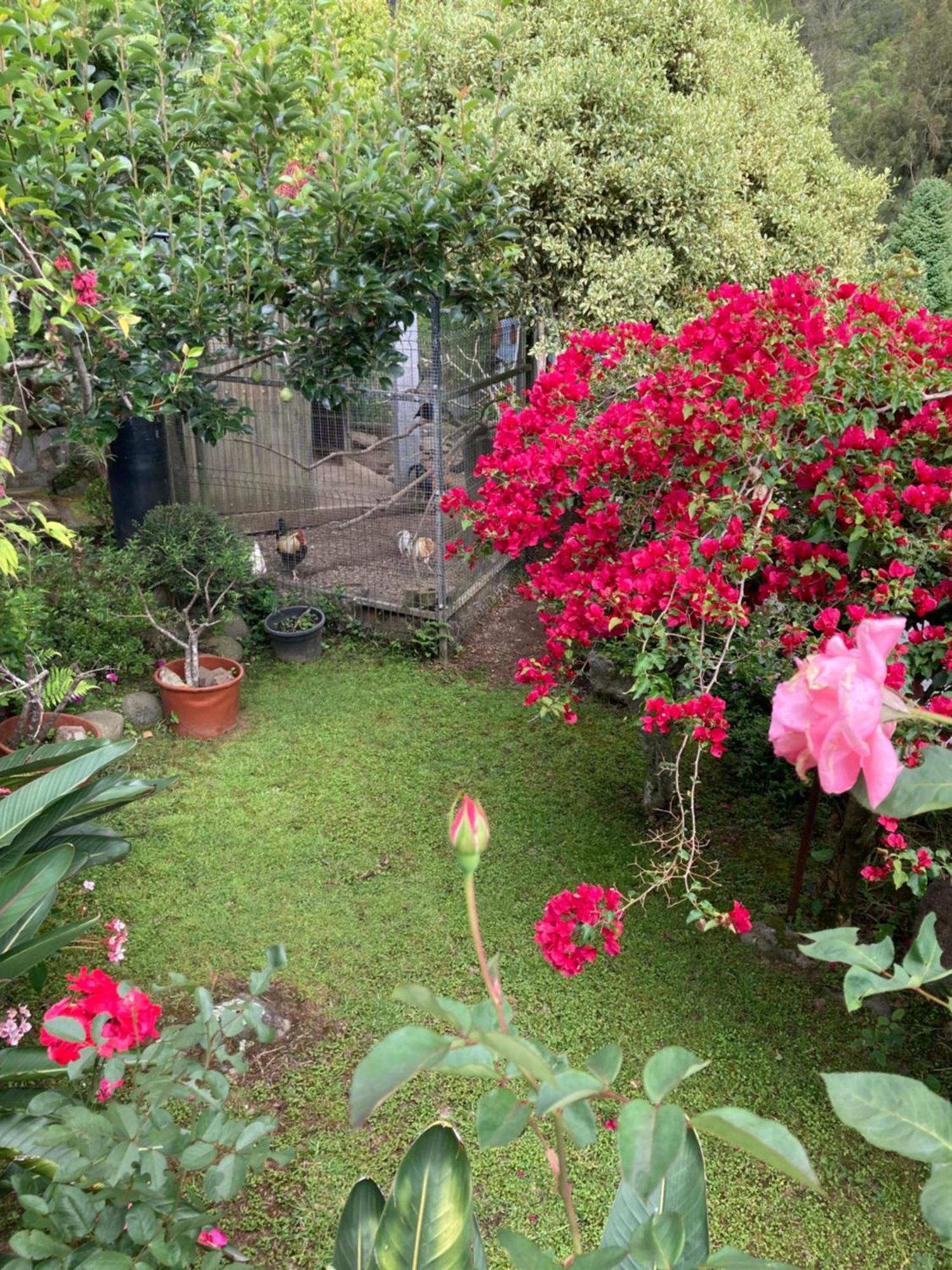 Les Begonias Cilaos Exterior foto